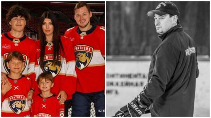 Vladimir Tarasenko - Age, Family, Bio