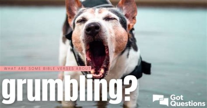 What are some Bible verses about grumbling?