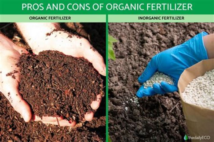 What are the disadvantages of inorganic fertilizers?