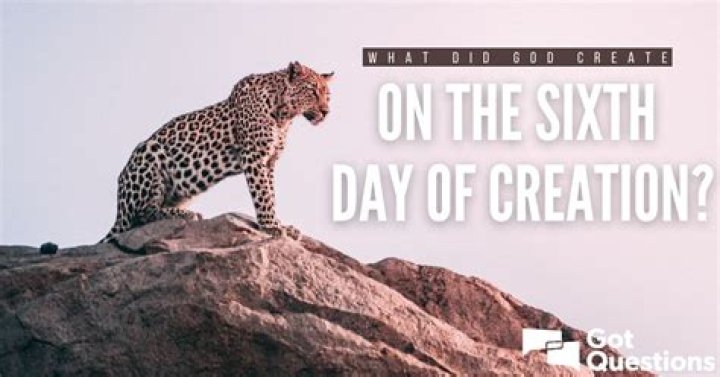 What did God create on the sixth day of creation?