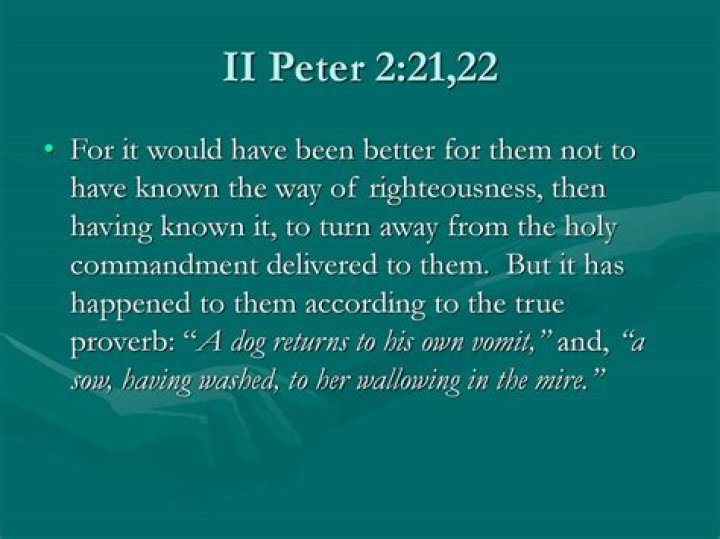 What does it mean that a dog returns to its own vomit (2 Peter 2:22)?