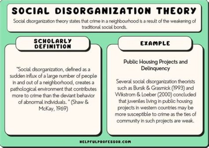 What does social disorganization theory mean?