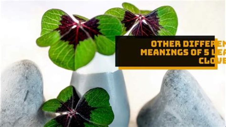What does the 5 leaf clover mean?