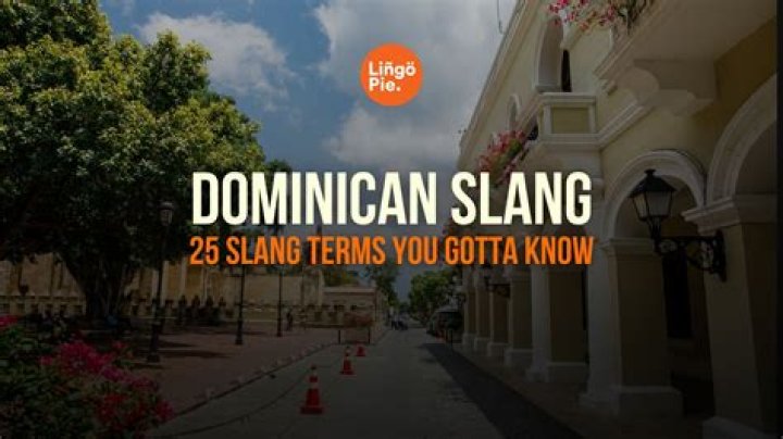 What is a Palomo Dominican slang?