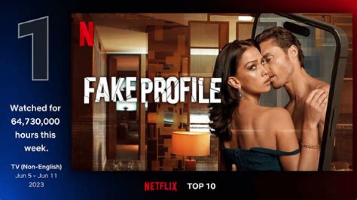 What is Fake Profile about on Netflix? (Official synopsis and more)