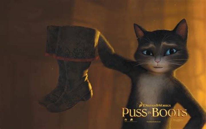 What kind of boots does Puss in Boots wear?