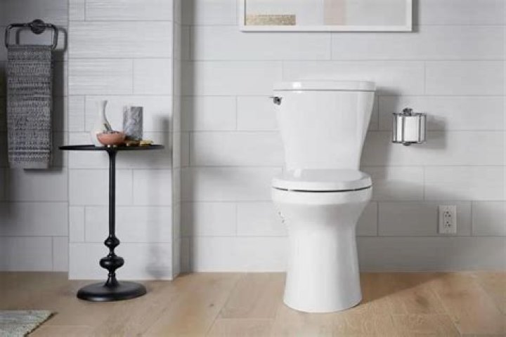 Which is a better toilet Kohler or Toto?