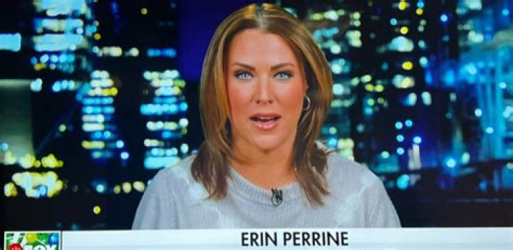 Who Is Erin Perrine Husband Nicholas Perrine? Wikipedia And Age
