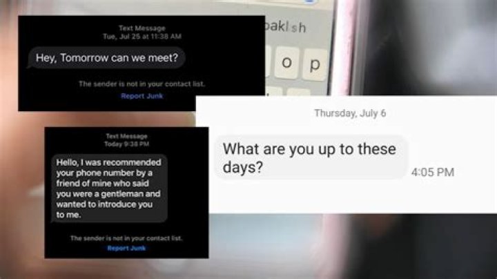 
Who is Kyra Phillips? Don Lemon allegedly sent threatening texts to ex-CNN correspondent 