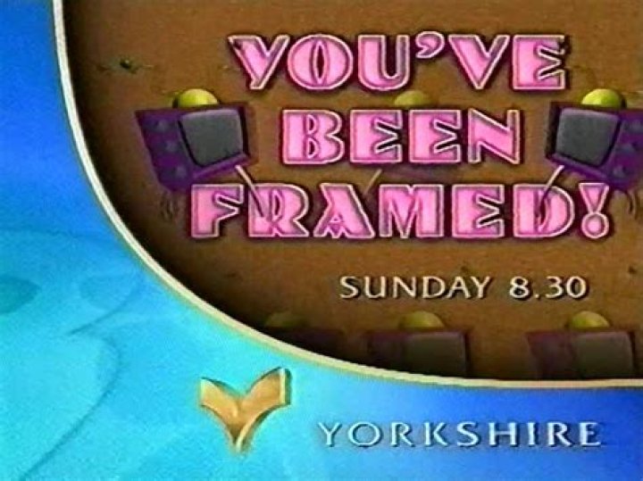 You've Been Framed! - Cast, Ages, Trivia