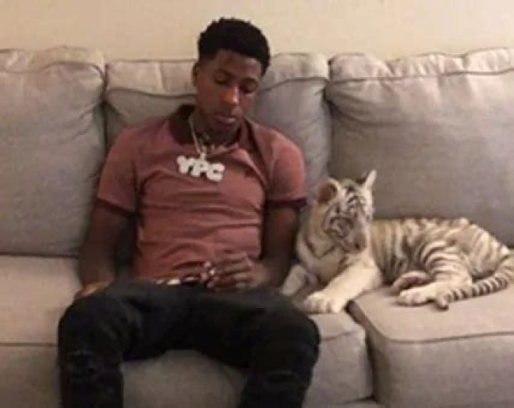 YoungBoy Never Broke Again Pets