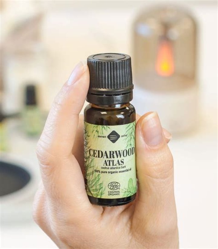 Zeb Atlas Bio (Wiki) 